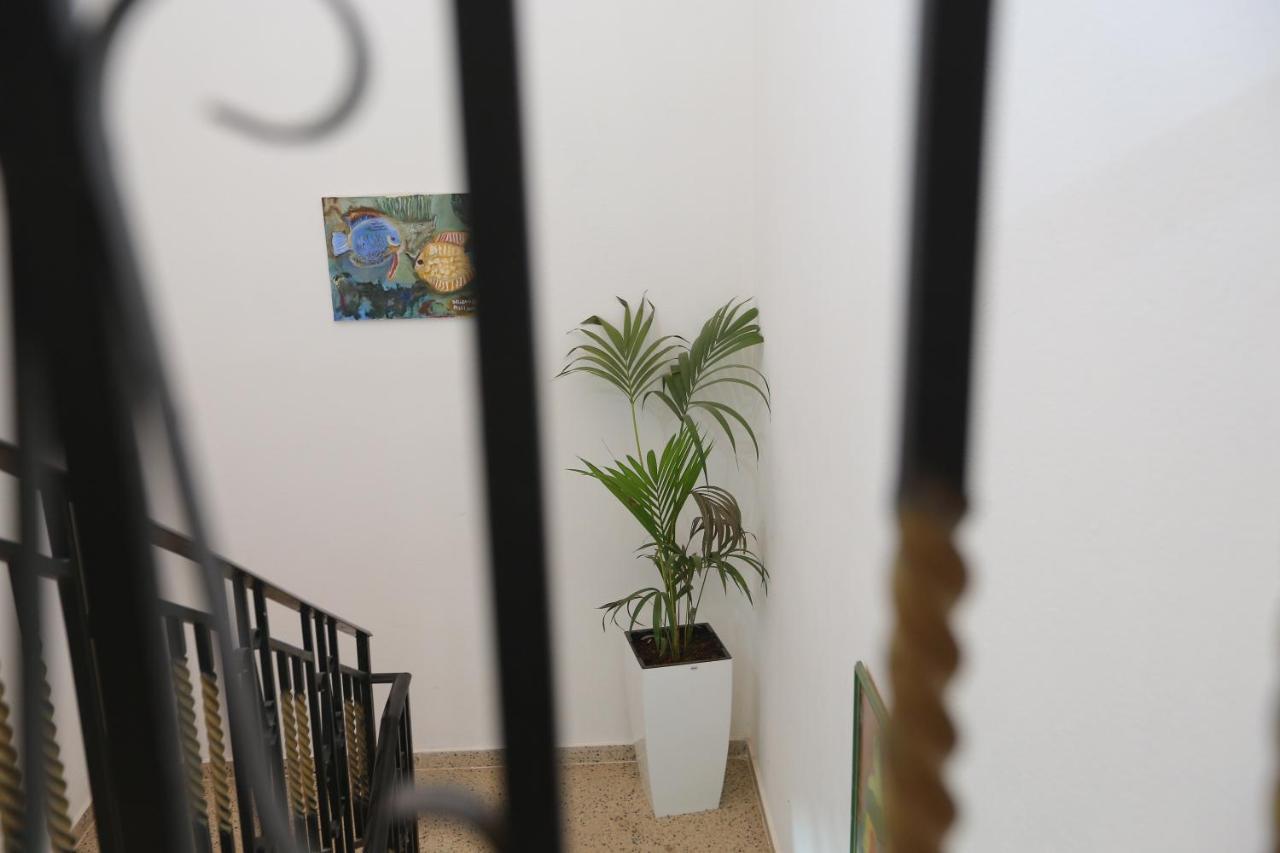 Apartment Celaj Velipojë Buitenkant foto